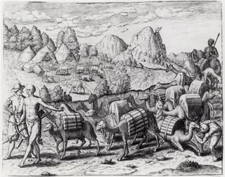 Karavane af lamaer lastet med sølv fra minerne i Potosí i Peru, graveret af Theodore de Bry (1528-98), fra «Americae», 1602